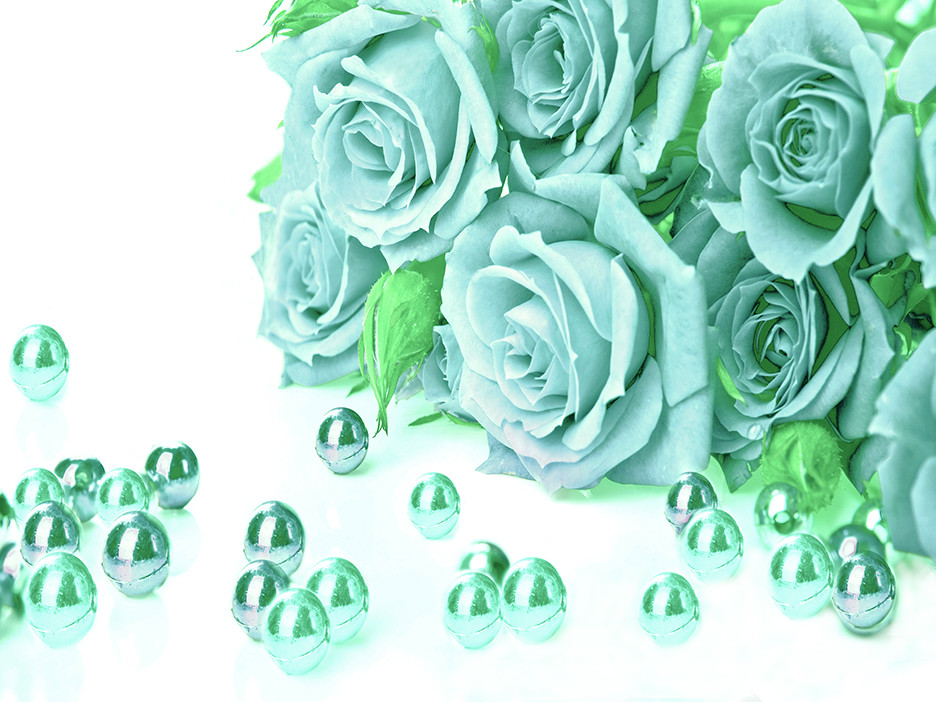 Duck Egg Blue Roses Cotton Canvas Wall Art Picture Print A1, A2 sizes