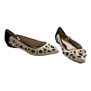 guilhermina flats