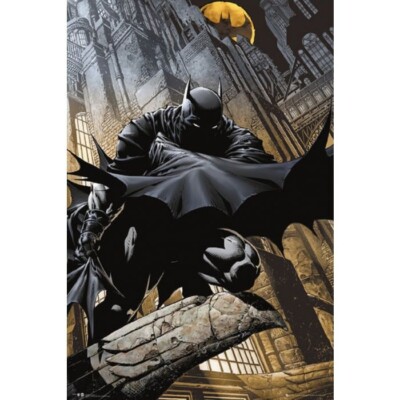 DC COMICS DARK KNIGHT BATMAN NIGHT STALKER POSTER NEW 24X36 FREE SHIPPING