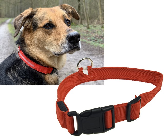 Hundehalsband ChiliTec Größe M rot mit Ledlicht günstig kaufen eBay
