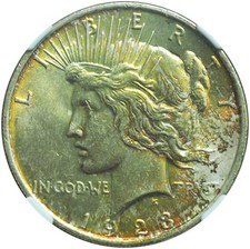 1923 Peace Dollar MS61 NGC Beautiful Toned Obverse