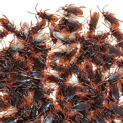 100PCS Fake Roaches Lifelike Rubber Bugs 1.77in Prank Toy Halloween Party Joke P