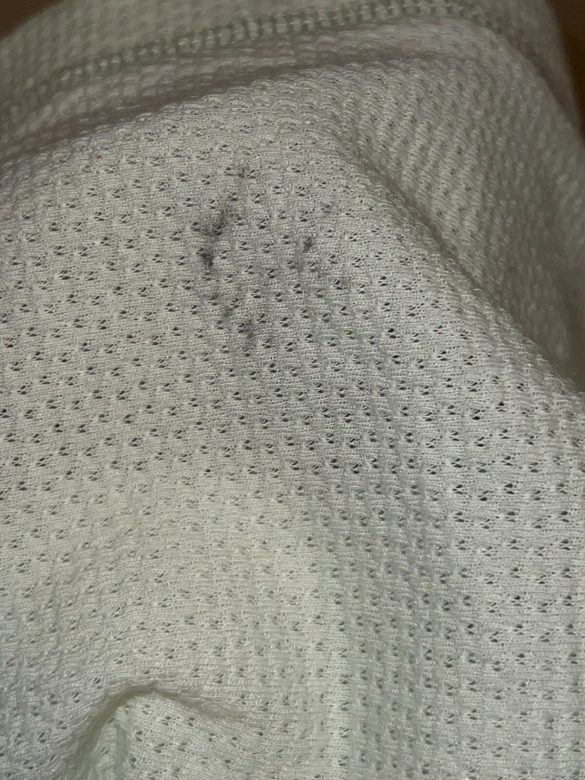 Picture 5 of 8