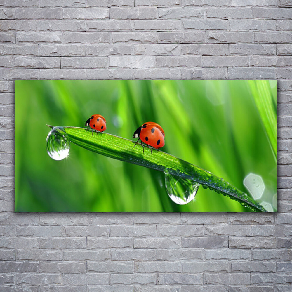 Tableau moderne floral en plexiglas 120x60 cm finition brillante