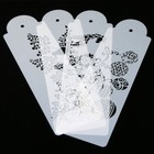 Foto 2 di 4