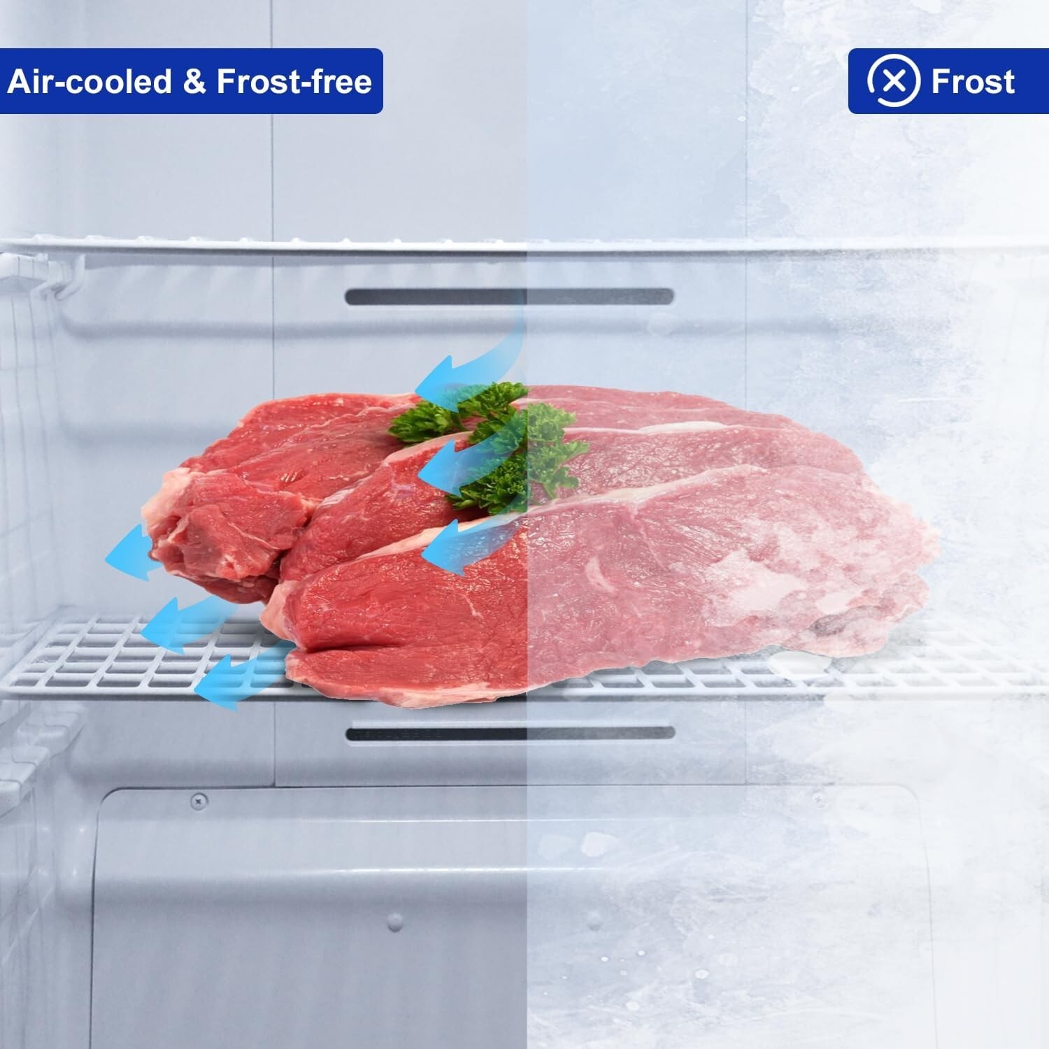 SMAD 13.8cu.ft Dual Mode Digital Control Convertible Uprigh Freezer/Refrigerator