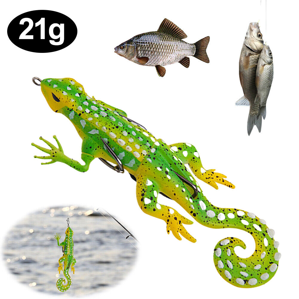Zdjęcie 8 z 14