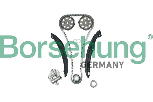 Borsehung Steuerkettensatz FüR VW Golf VI 1.4 TSI Polo Skoda Fabia II 5K1 6R-image