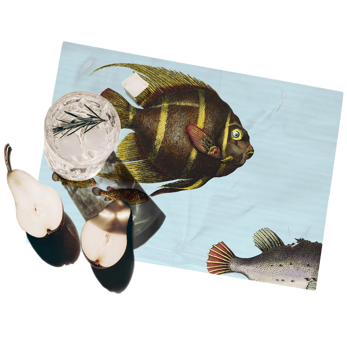 Sets de table marin Acquario 42x30 cm en PVC lavable | Lot de 2