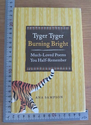 Tyger Tyger Burning Bright Ana Sampson Hardback 1st 2011