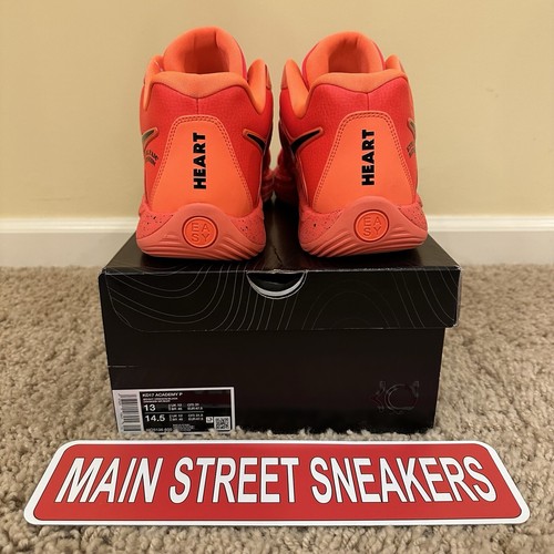 Size 13 Nike KD 17 PE EYBL Academy for sale online eBay