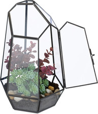 Terrario Piante, Mini Serra in Vetro E Rame, HLP 26X18X15 Cm, Piantine Grasse E 