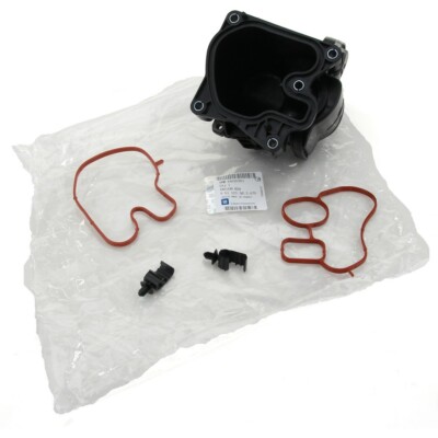 Agr Ventil Reiniger Diesel 1x Mahle Kraftstofffilter Für Opel P10 Cascada W13 Insignia A Astra J