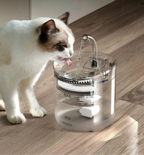 motion sensor dog water fountain