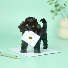 Special Delivery Card Collection - Dog - Jazzy