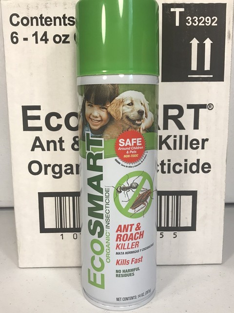all natural ant and roach killer