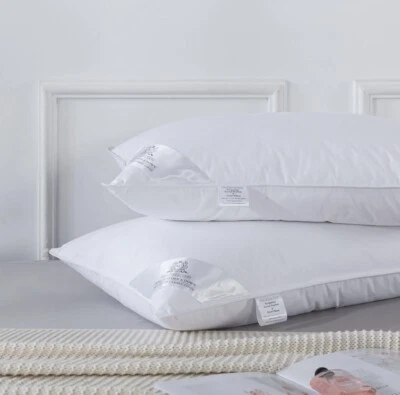 AIRA COLLECTION 2 Hungarian Goose Down Pillow Soft Support for All Sleepers Cambric Cover