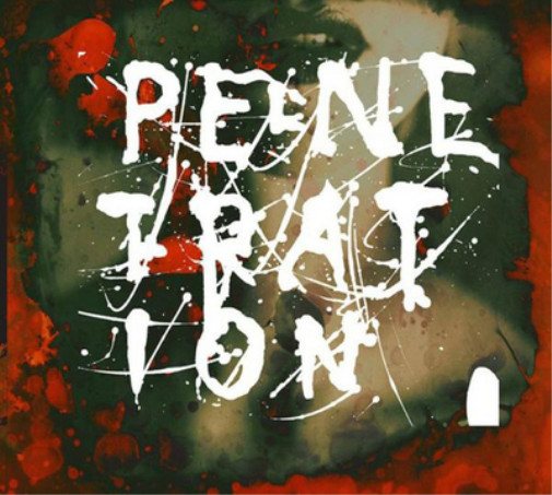 Альбом с разрешением проникновения (CD)