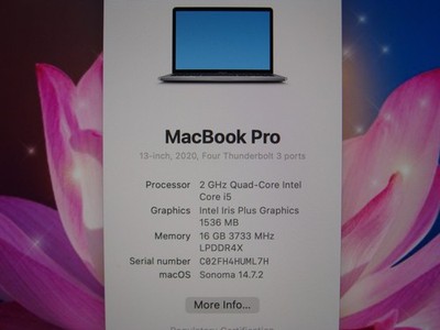 Apple MacBook Pro A2251 13 Apple MacBook Pro A2251 13