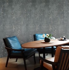 Papel pintado de hormigón sintético pintura envejecida industrial gris mate oscuro plata imitación