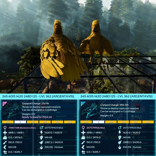 Ark Survival Ascended Pve Argentavis / Argy Max Level 362 - Picture 2 of 29