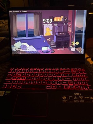 Acer - Nitro 5 15.6'' Laptop - Intel Core i5 16GB Memory - NVIDIA GeForce GTX 16