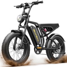 Bluvall 31 MPH 20" Fat Tire 48V High Spec Hydraulic Brake Full Suspension E-Bike
