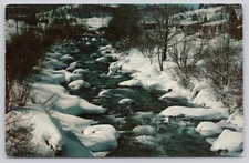 Winter Along Truckee River Nevada Lake Tahoe Pyramid Lake Chrome Postcard Unpost