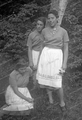 Negativ-Öhringen-RAD-Arbeitsdienst-Frauen-Lager-Hohenlohekreis-Baum-um 1940-50