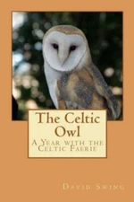 The Celtic Owl: A Year With The Celtic Faerie
