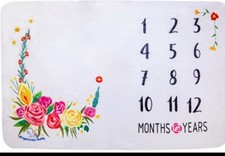 HIGH QUALITY FLEECE MILESTONE BABY/PET BLANKET PHOTO PROP, GREAT GIFT, NEW