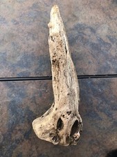 Natural Driftwood for Plants Terrarium Taxidermy Art Projects