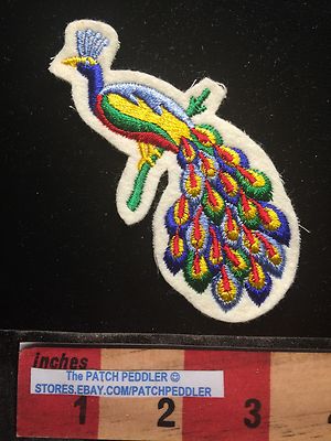Glorious Full Color Peacock Feathers Jacket Patch ~ Vibrant & Vivid Color C64C