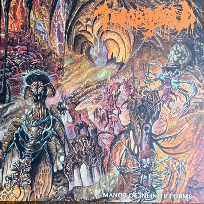 Tomb Mold   Manor of Infinite Forms LP Record 2018 20 Buck Spin Death Metal 33