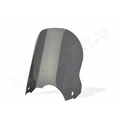 BMW R 1150 GS (1999-2003)  Standard - Motorcycle windscreen