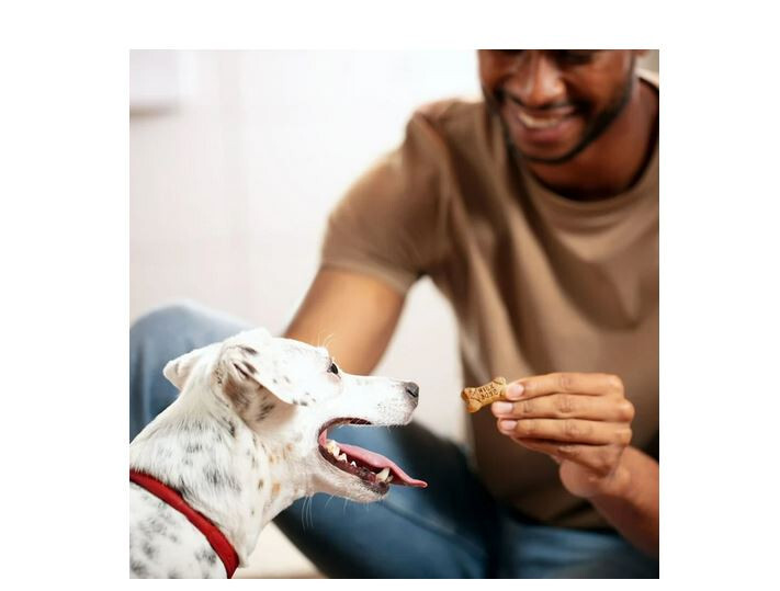 MilkBone Flavor Snacks Mini Dog Biscuits, Flavored Crunchy Dog Treats