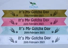 It's My Gotcha Day Banner Dog Cat pet banner personalised with date anniversary