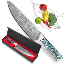 Damascus Kitchen Chef's Knife VG10 Steel Slicing Knife Abalone-Shell Handle Gift