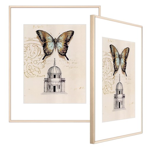 8.5x11 Picture Frame Brass Brushed Thin Metal Set of 2 with Certificate Docum...