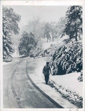 1945 Photo Press Winter Snow Covered Ground Trees People Beautiful Scenery