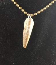 Gator toe necklace Talismans Jewelry Magical Powers Alligator foot claw Pendant