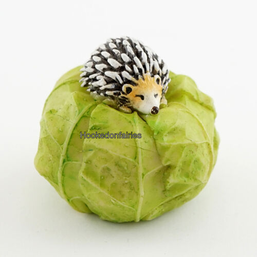 Miniature Garden Mini Hedgehog on Cabbage TO 4448  Fairy Faerie Garden - Picture 1 of 10