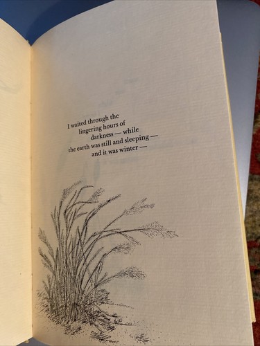 SIGNED Have You Heard The Cricket’s Song By Abbott & Bossen 1979 - Picture 4 of 7