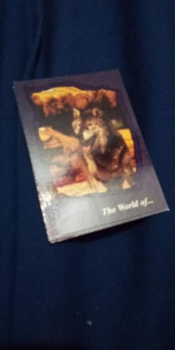 1996 Inkworks: The Phantom - PICK A CARD! -- Movie, King Features, Billy Zane - Picture 86 of 88