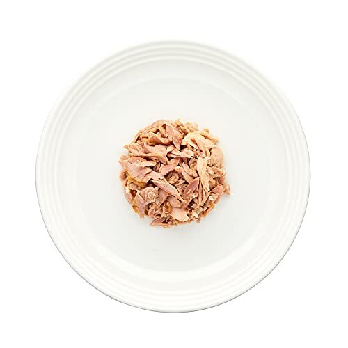 Encore 100 Natural Wet Cat Food, Multipack Fish Selection in Broth 70g Tin for eBay