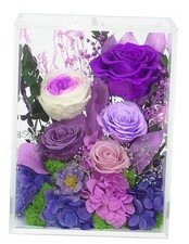 Long-Lasting Real Flowers, Handcrafted Preserved Rose Bush Dark Purple Rose