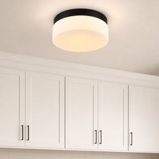 12 in Glass Flush Mount Modern Black 24W 5CCT Dimmable LED Ceiling Light Fixture