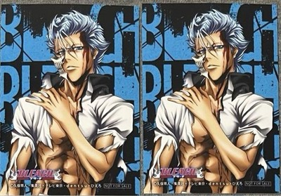 Grimmjow BLEACH Purchase Bonus Bromide Studio Piero