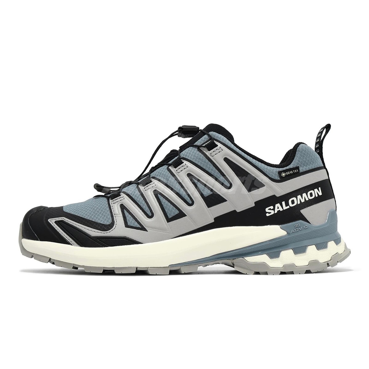 Salomon XA PRO 3D V9 GTX Gore-Tex Flint Stone Ghost Grey Men
