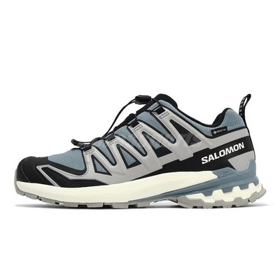 Salomon XA PRO 3D V9 GTX Gore-Tex Flint Stone Ghost Grey Men